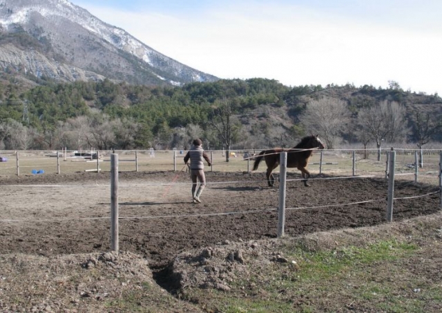 Carrera y caballo 